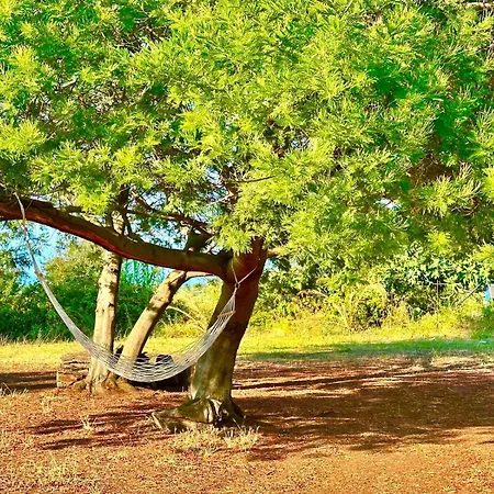 Feudo di Villa Anticaglia-2
